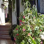 דירה Kleines Mit Meerblick איקוד דה לוס וינוס