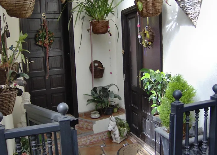 Kleines Mit Meerblick Apartment Icod De Los Vinos