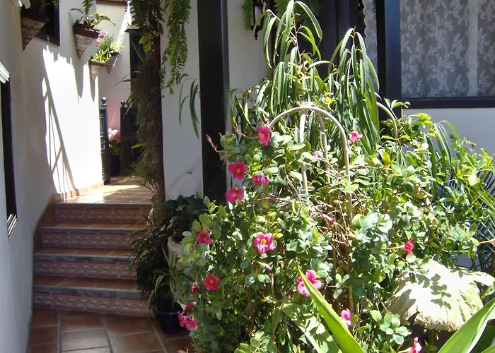 Apartment Kleines Mit Meerblick Icod De Los Vinos