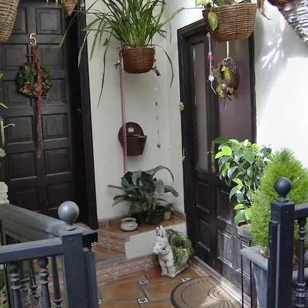 Kleines Mit Meerblick Appartement Icod De Los Vinos