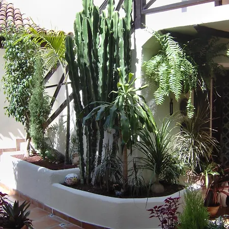 Lejlighed Kleines Mit Meerblick *